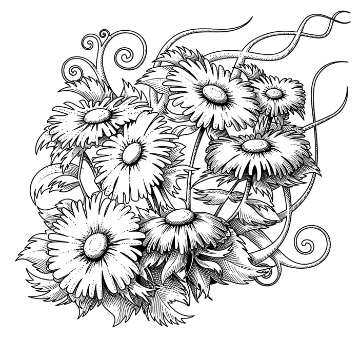 An engraving plate of chamomile daisies, the blooms shaded in delicate stippling and the leaves in fine hatching.