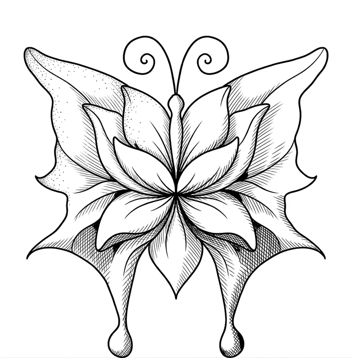 An ornamental butterfly engraving with petal-like wings, partly shaded with hatching along the wing edges.